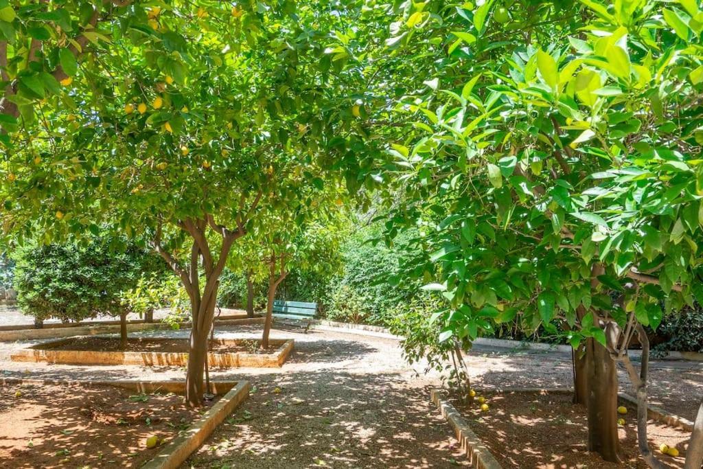 Voula's Secret Garden