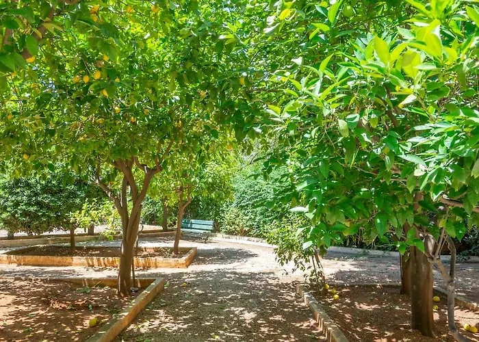 Voula\'S Secret Garden Studio